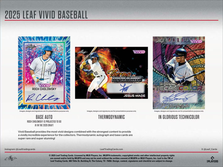 2025 Leaf Vivid Baseball JUMBO